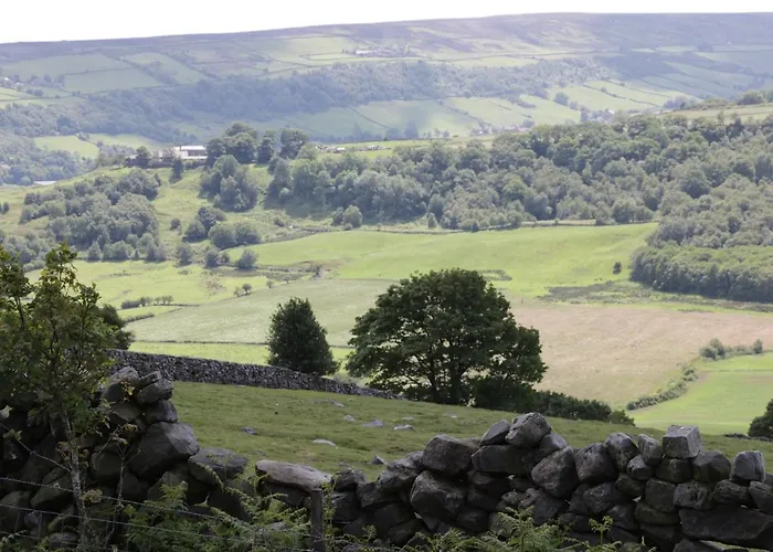 בית נופש Griff יורק